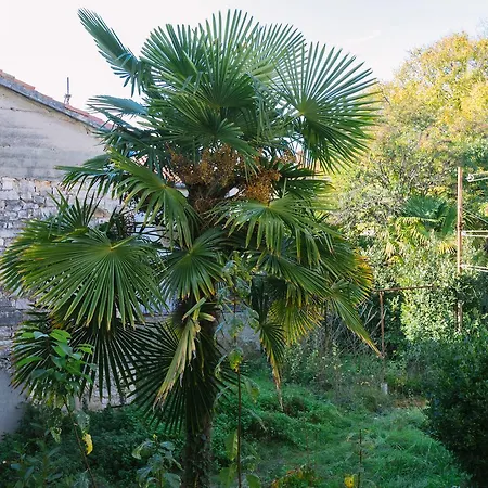 Boutique Forum Апартаменти Задар