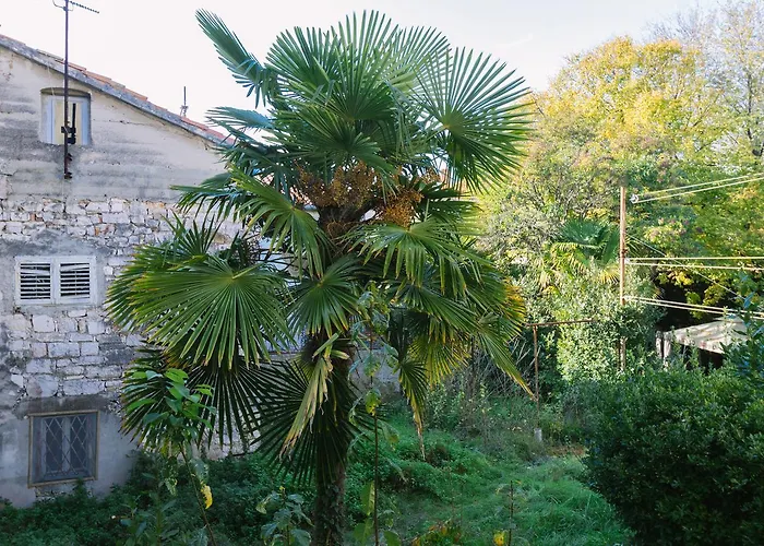 Boutique Forum Διαμέρισμα Ζαντάρ