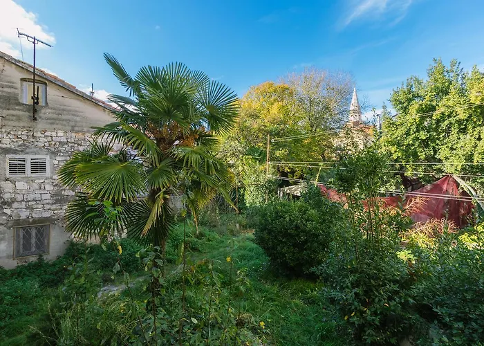 公寓 Boutique Forum 扎达尔